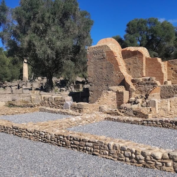 IMG_20251029_121007627