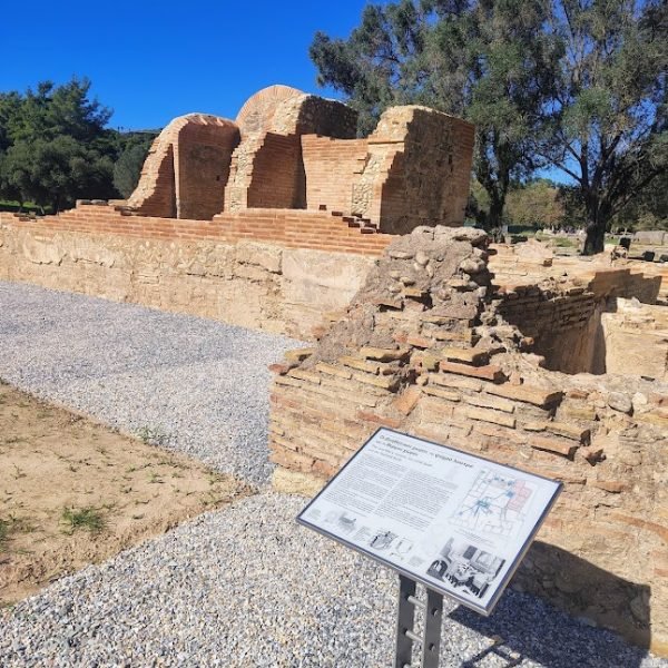 IMG_20251029_121159894_HDR_AE